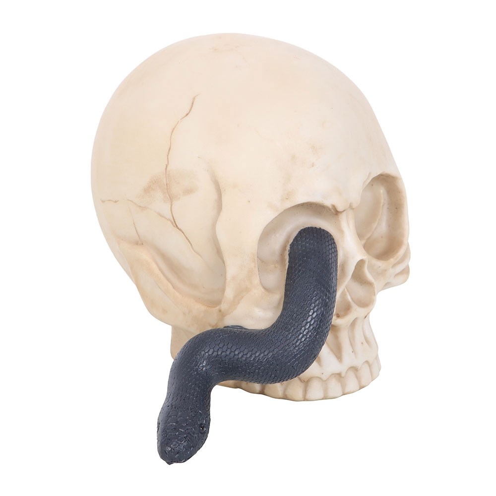 Something Different - Skull Ornament with Snake Figurine - Multicolore